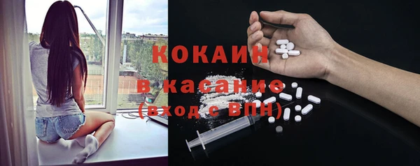 прущие грибы Арсеньев