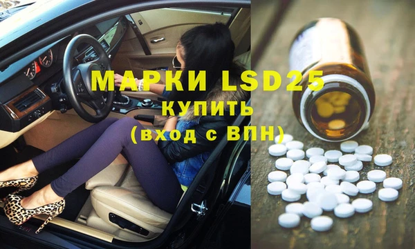 прущие грибы Арсеньев