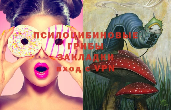 прущие грибы Арсеньев
