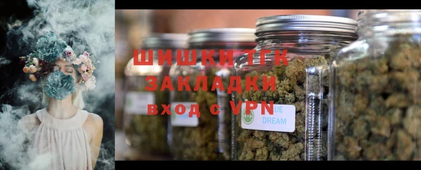 эйфоретик Аркадак